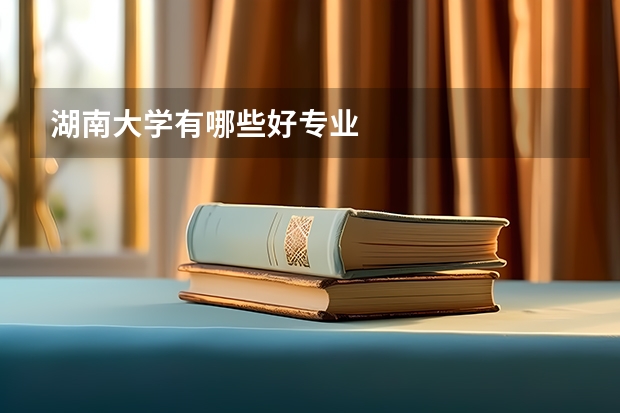 湖南大学有哪些好专业