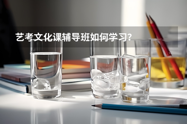 艺考文化课辅导班如何学习?