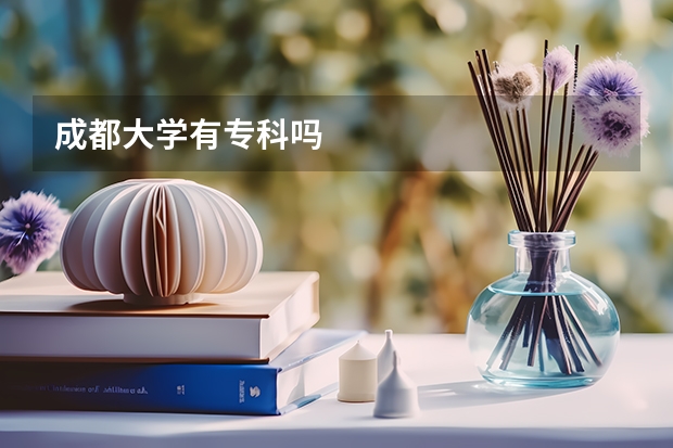 成都大学有专科吗