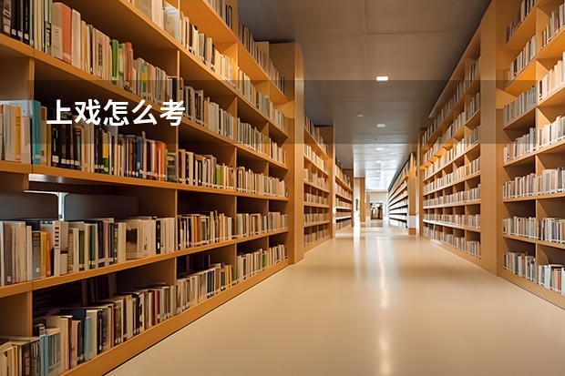 上戏怎么考