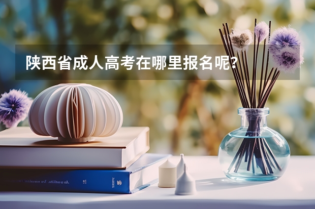 陕西省成人高考在哪里报名呢？
