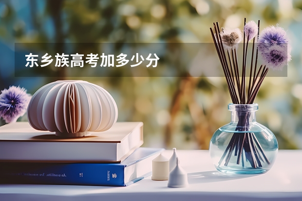 东乡族高考加多少分