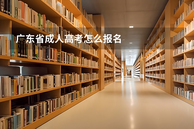 广东省成人高考怎么报名