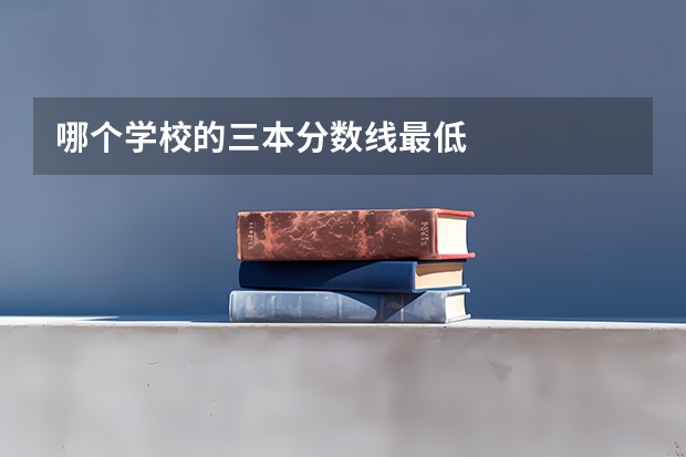 哪个学校的三本分数线最低