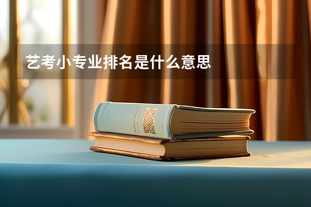 艺考小专业排名是什么意思