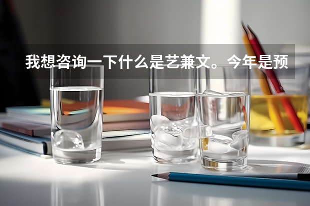 我想咨询一下什么是艺兼文。今年是预备高一，以后想报考一下传媒啊表演啊一类的学校，但是初中以来我的文