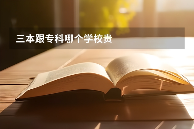 三本跟专科哪个学校贵