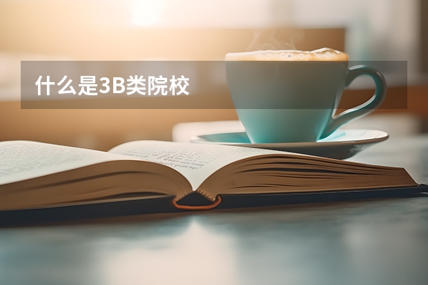 什么是3B类院校