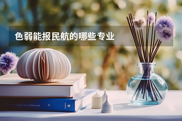 色弱能报民航的哪些专业