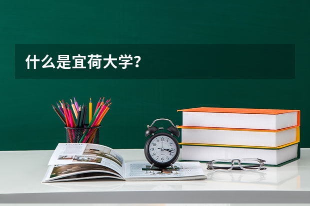 什么是宜荷大学？