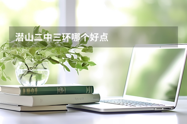 潜山二中三环哪个好点