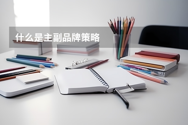 什么是主副品牌策略
