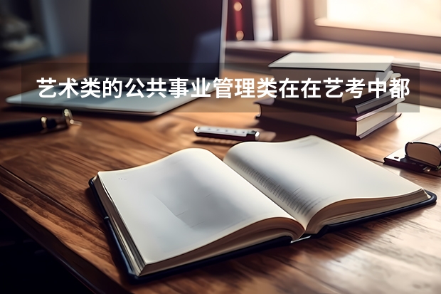 艺术类的公共事业管理类在在艺考中都考些什么样的内容啊?能否具体些?