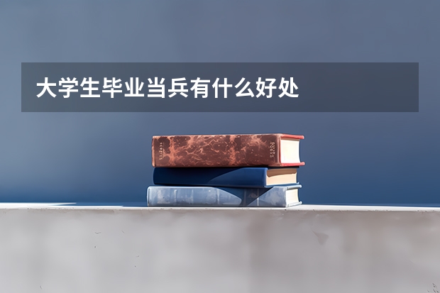 大学生毕业当兵有什么好处