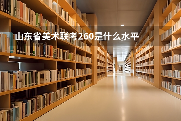 山东省美术联考260是什么水平