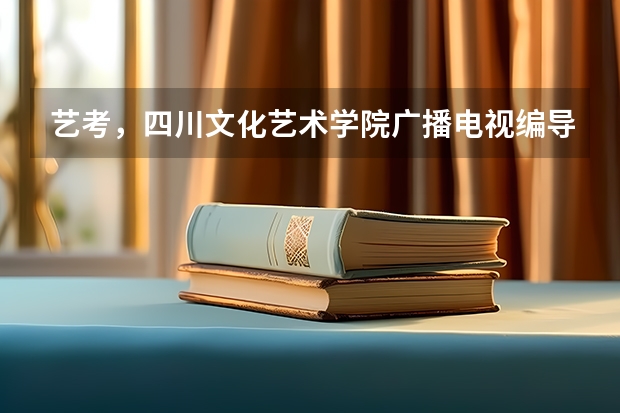 艺考，四川文化艺术学院广播电视编导及格线是多少