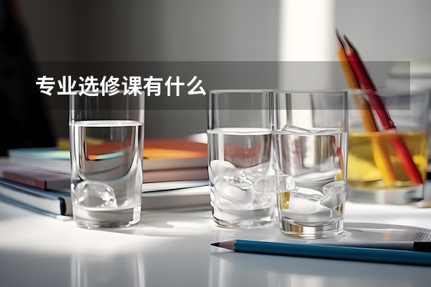 专业选修课有什么