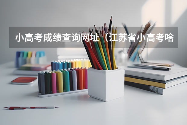 小高考成绩查询网址（江苏省小高考啥意思）