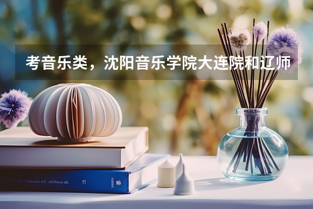 考音乐类，沈阳音乐学院大连院和辽师哪个好？