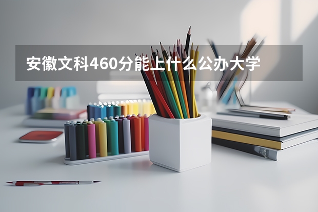 安徽文科460分能上什么公办大学
