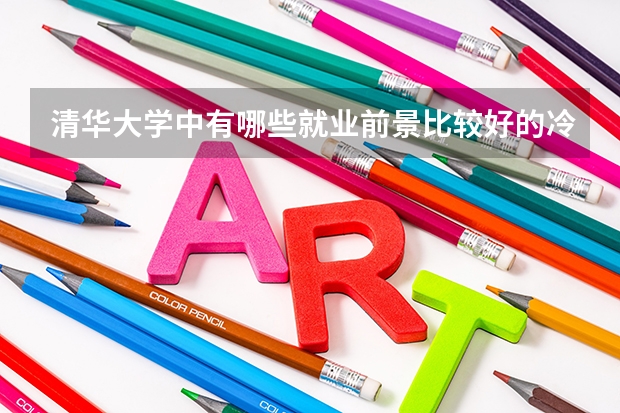 清华大学中有哪些就业前景比较好的冷门专业？