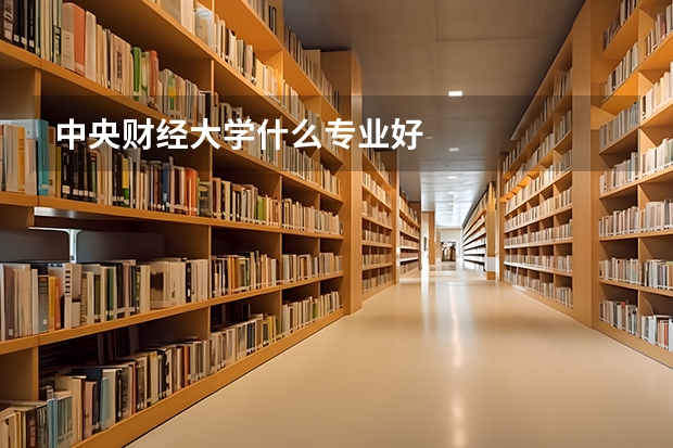 中央财经大学什么专业好
