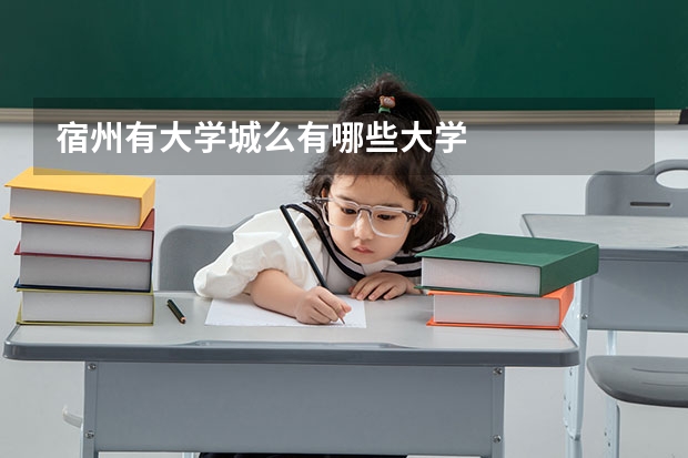 宿州有大学城么有哪些大学
