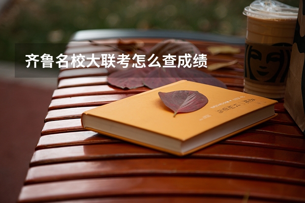齐鲁名校大联考怎么查成绩