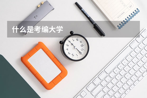 什么是考编大学
