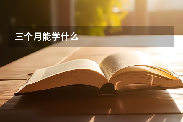 三个月能学什么