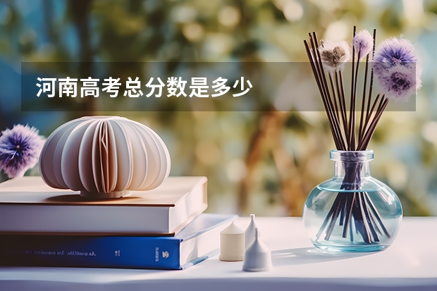 河南高考总分数是多少
