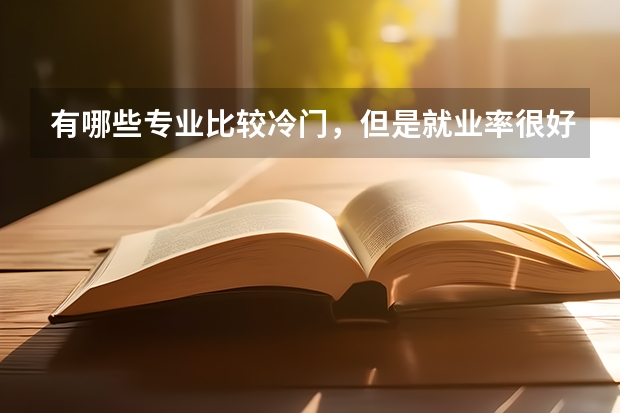 有哪些专业比较冷门，但是就业率很好？