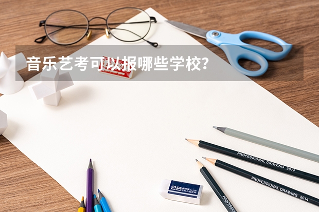 音乐艺考可以报哪些学校？