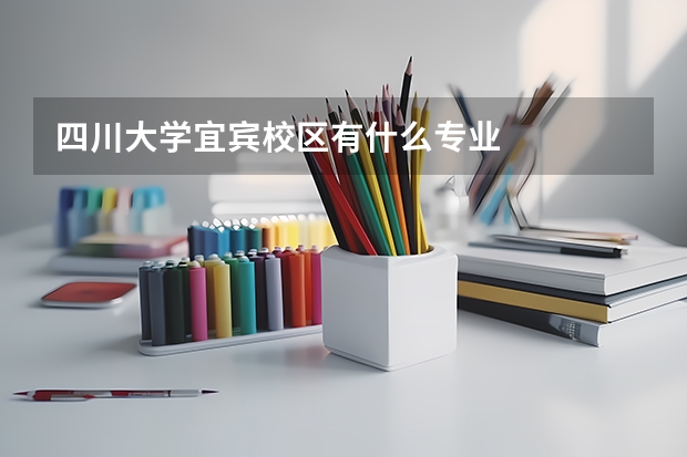 四川大学宜宾校区有什么专业
