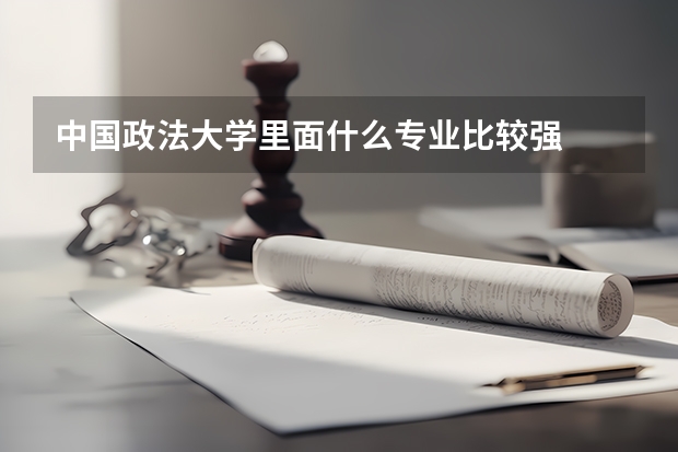 中国政法大学里面什么专业比较强