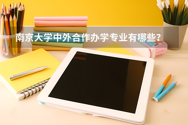 南京大学中外合作办学专业有哪些？