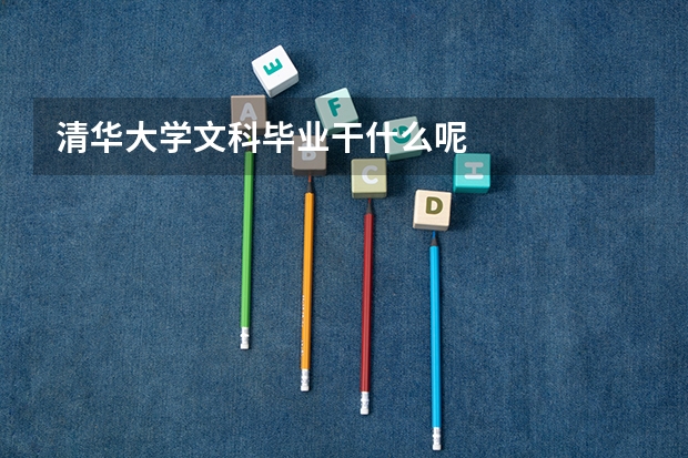 清华大学文科毕业干什么呢
