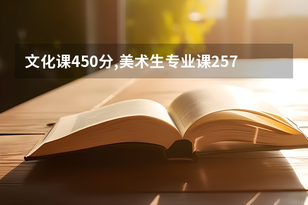 文化课450分,美术生专业课257.2分能上什么学