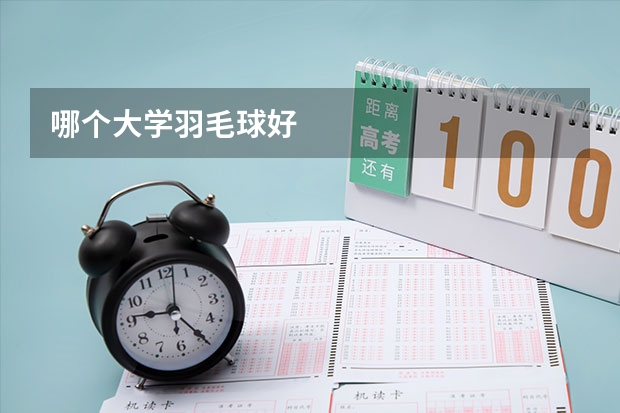 哪个大学羽毛球好