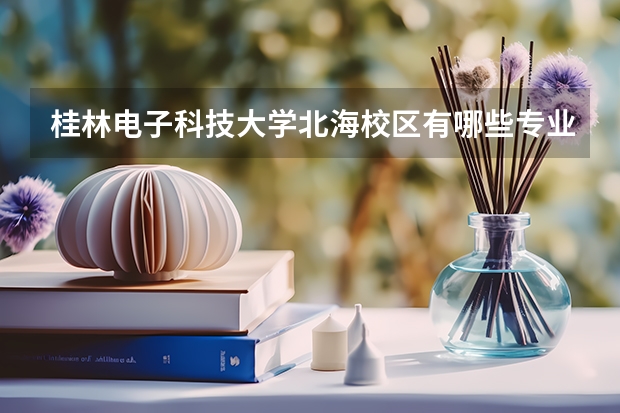 桂林电子科技大学北海校区有哪些专业