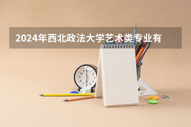 2024年西北政法大学艺术类专业有哪些