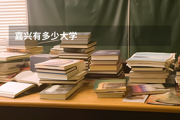 嘉兴有多少大学