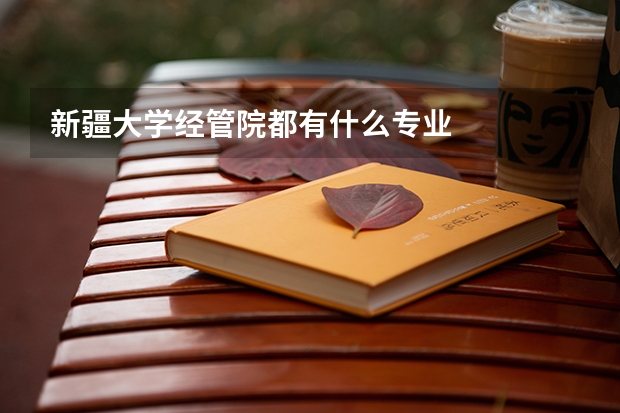 新疆大学经管院都有什么专业