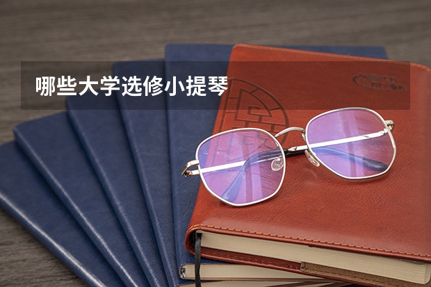 哪些大学选修小提琴