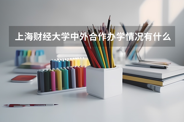 上海财经大学中外合作办学情况有什么中外合作办学专业?