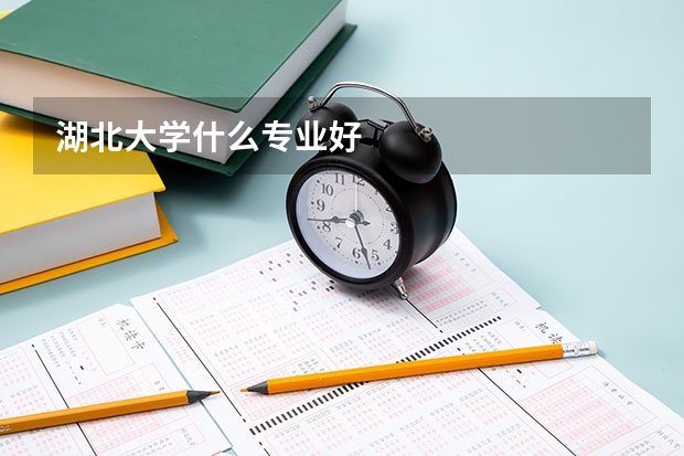 湖北大学什么专业好