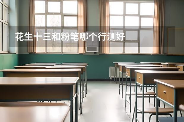 花生十三和粉笔哪个行测好