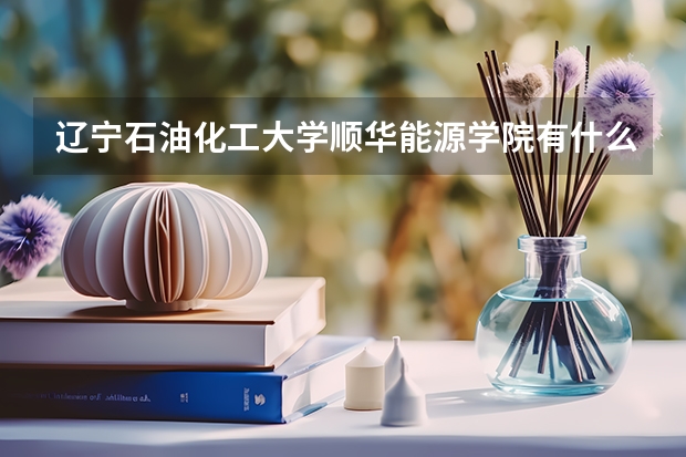 辽宁石油化工大学顺华能源学院有什么专业及什么专业好