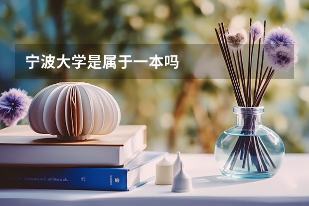 宁波大学是属于一本吗