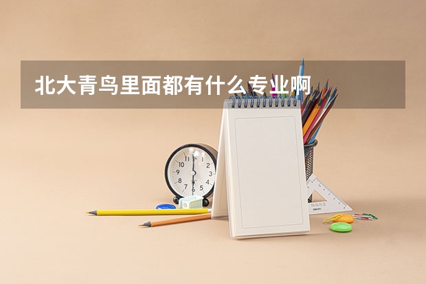 北大青鸟里面都有什么专业啊